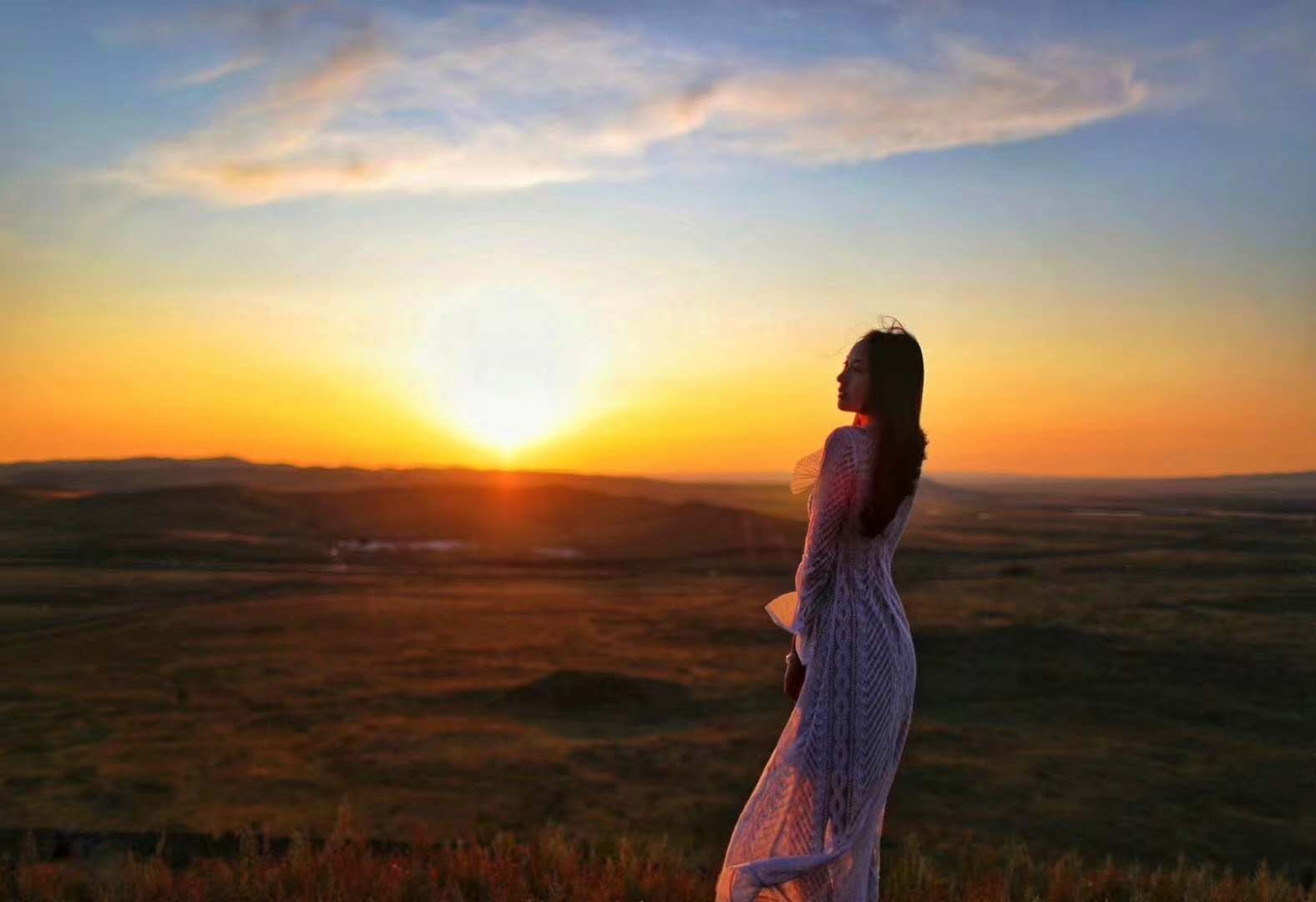 甘肃苦水玫瑰花茶功效,苦水正宗玫瑰花茶