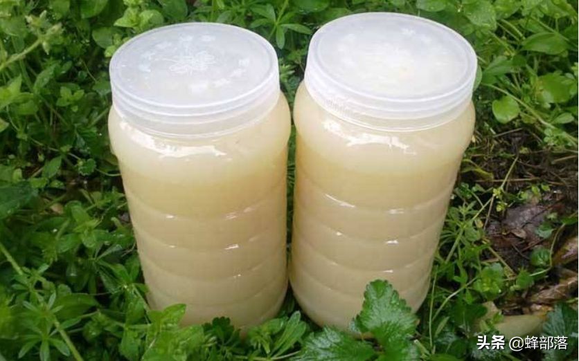 为什么有些人不吃蜂蜜,为什么有人不爱吃蜂蜜