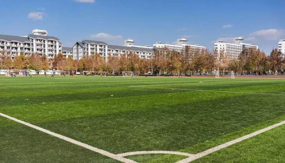 清华教授培养普通人,清华教授教足球