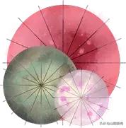 春天里最美的遇见歌曲,春天最美的文案就是油菜花