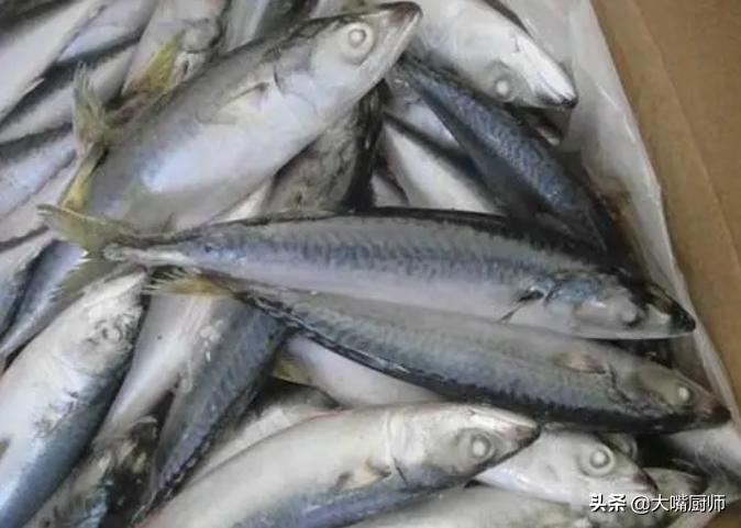 什么海鱼好养又好吃,既能吃又能养的海鱼