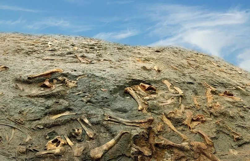 物种灭绝到底有多可怕,2亿年前的物种灭绝