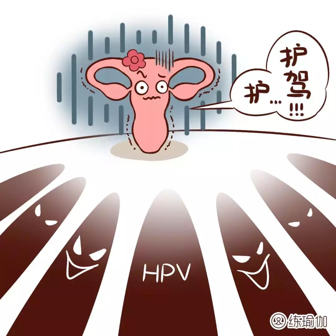 女性雌激素低中药能调理吗,女人雌激素低月经推迟怎么补