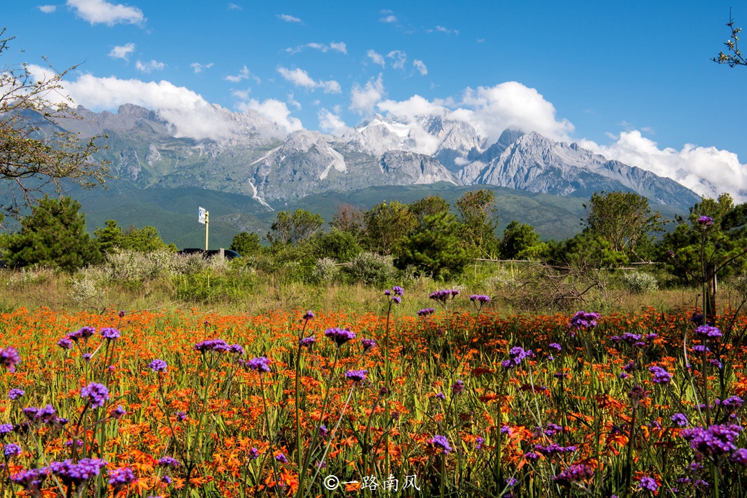云南旅游必去的城市排名榜单,云南昆明大理哪个适合旅游