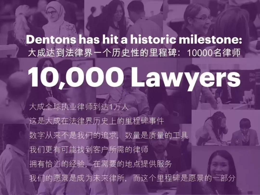 大成律所,大成律所最新视频