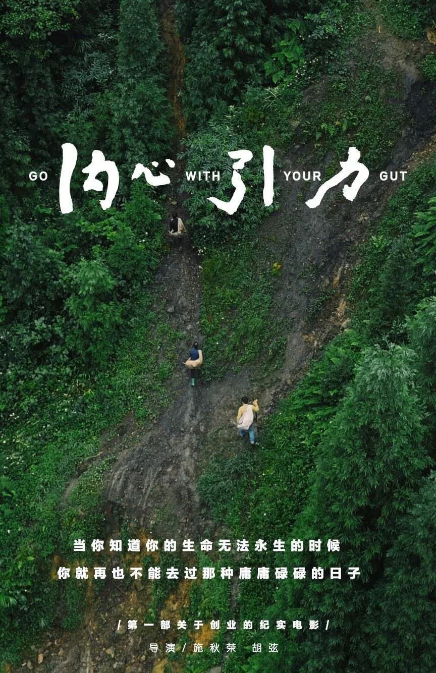 当你知道生命无法永生的时候,菩提岛屿