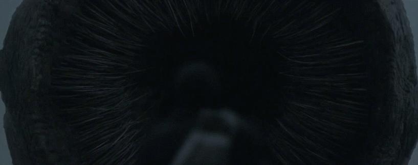 人类发现的未知生物沙漠巨虫,史前生物大沙虫