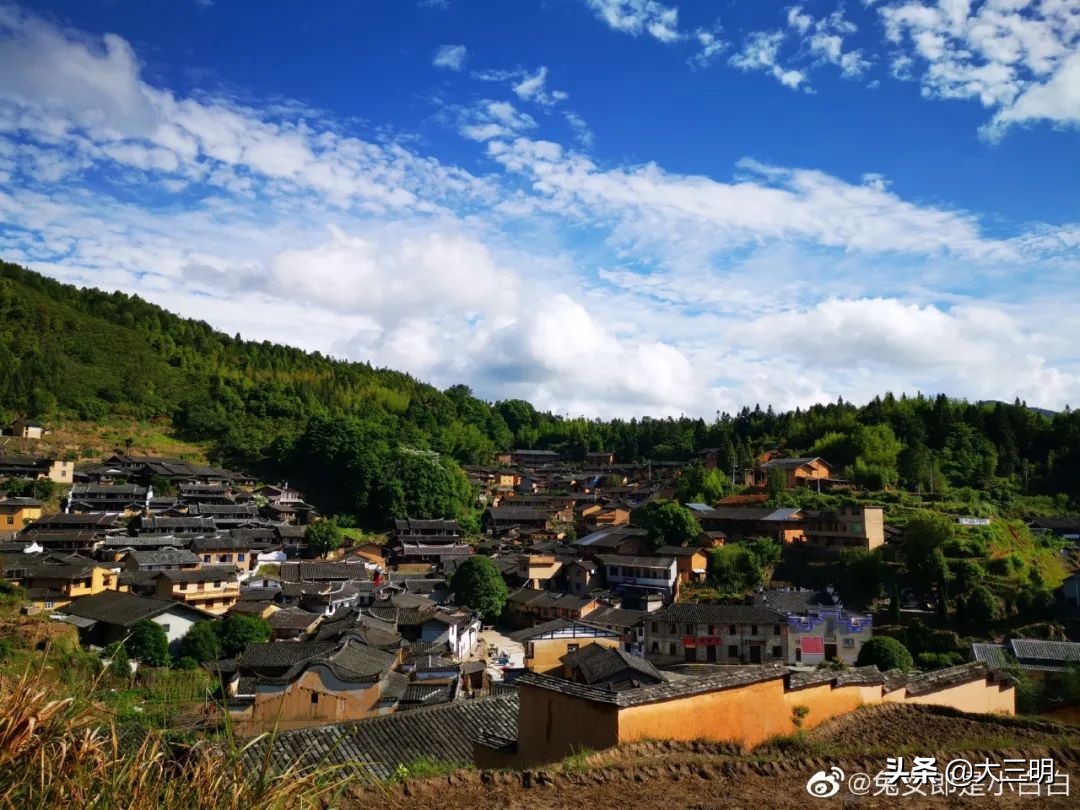 中国绿都最氧三明来将乐赏花,中国绿都最氧三明康养之旅