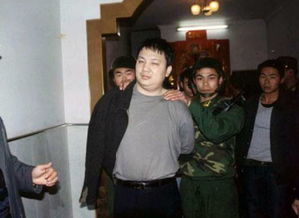 近几年抓的最大毒枭,制毒11吨大毒枭