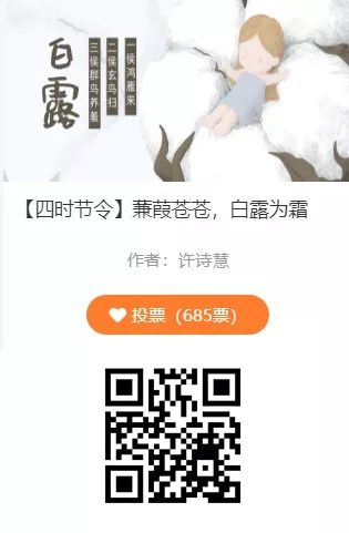 canva和135编辑器,135编辑器微信公众号排版