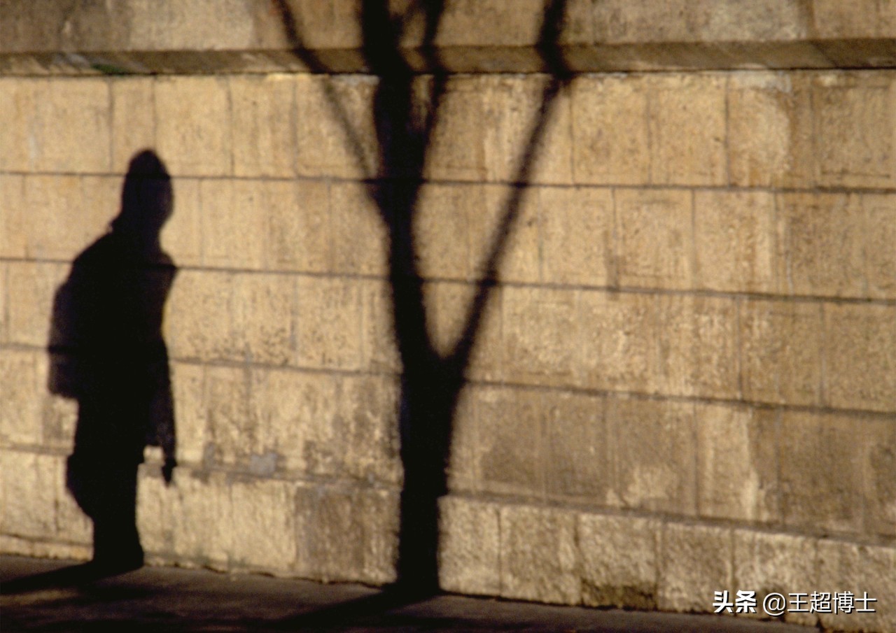 律师事务所办案手记,律师办案手记全集