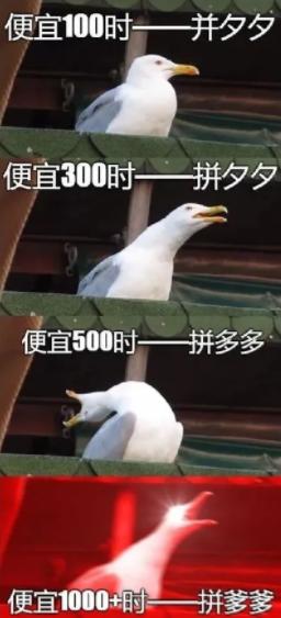 聚美优品陈欧现在状况,聚美优品陈欧挣了多少