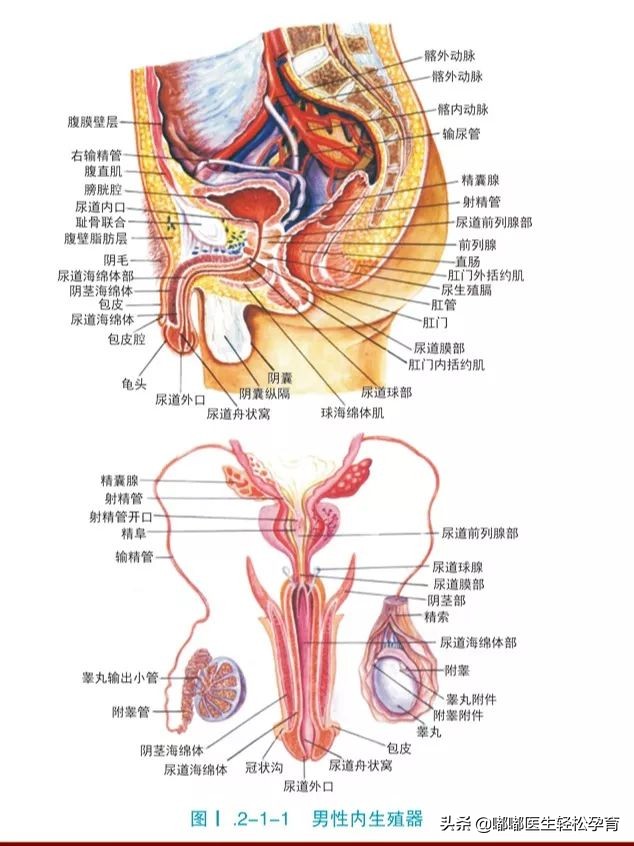 无知父亲,无知家长给新生儿刮胎脂