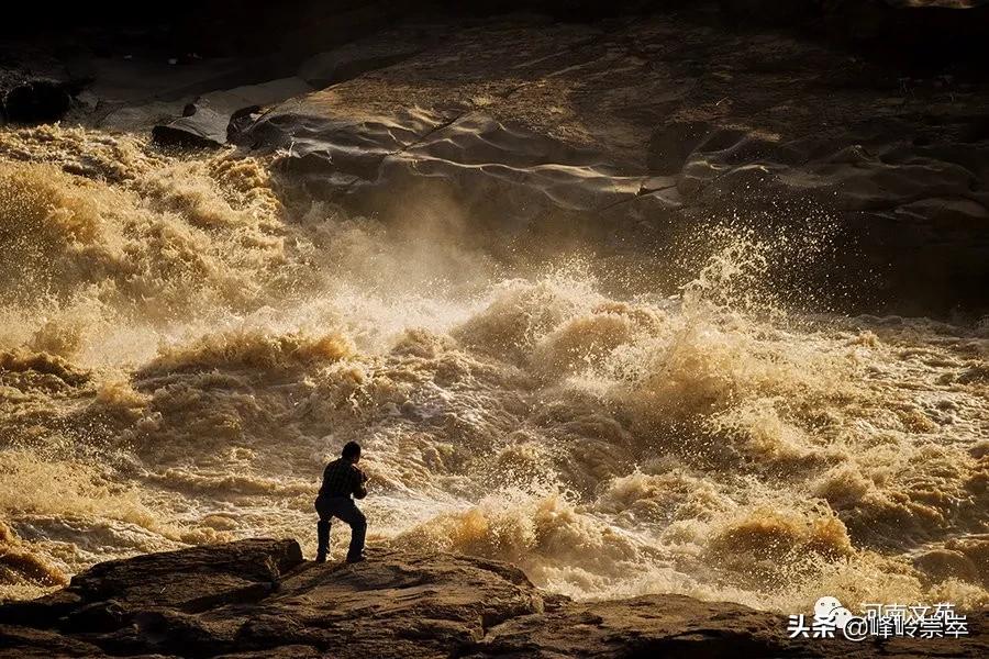 去看看黄河｜|麦莎