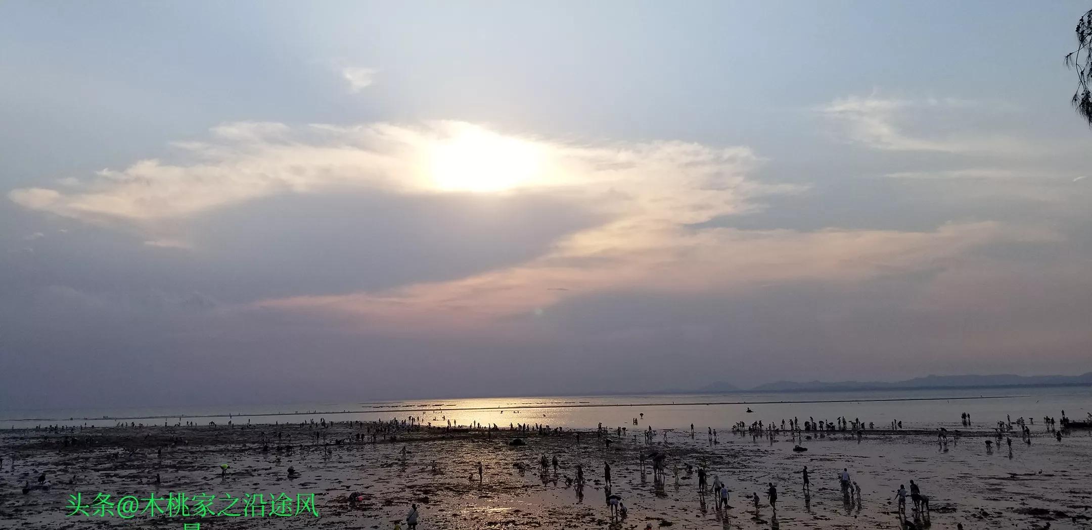 广东沙滩赶海去哪里,阳江东平镇沙滩赶海攻略