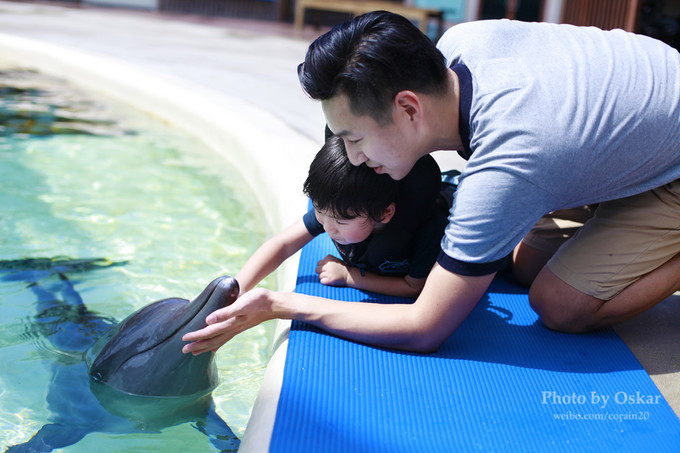 新加坡景点排行榜前十名,新加坡旅游攻略必玩的景点