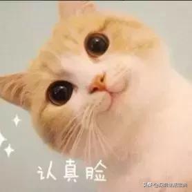 深圳社保失业补助金领取条件,2021年深圳失业保险金每月多少钱