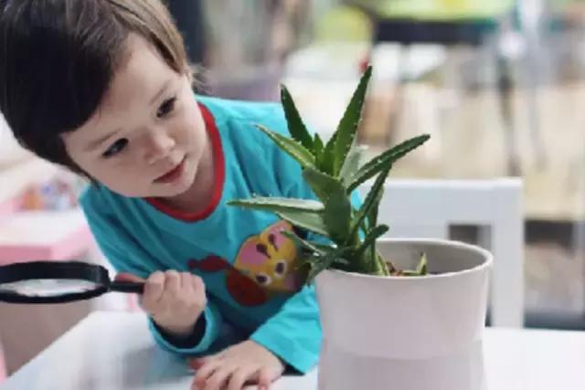 7-12月宝宝蒙氏亲子游戏,100个经典蒙氏小游戏总结