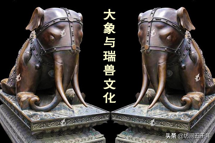 现存的史前大象有哪些,中国大象历史纪录