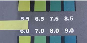 绵羊油怎么用才不油腻,绵羊油好吃吗