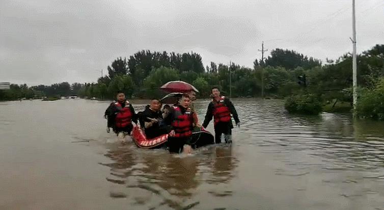 韩红王一博救援事件,韩红王一博翻车