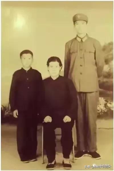 马将军,马将军免费阅读