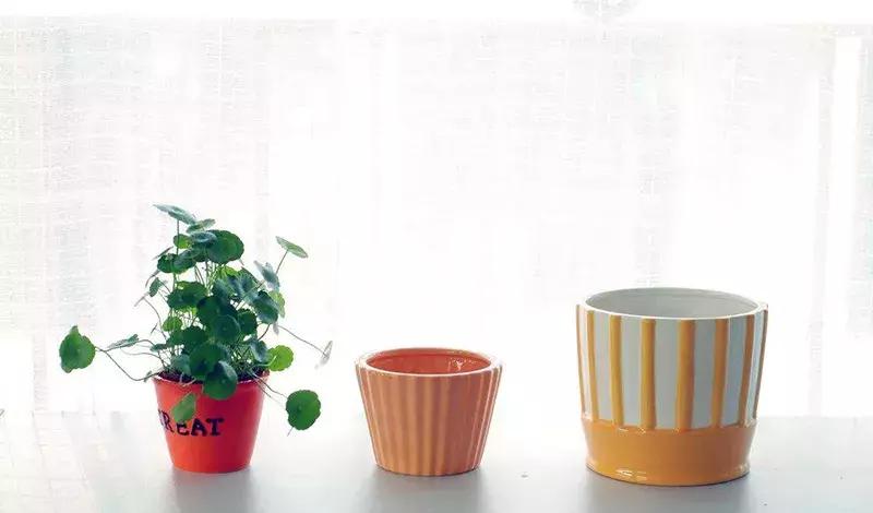 宝宝夏天起痱子需要抹药吗,婴儿夏天起痱子最有效的解决方法