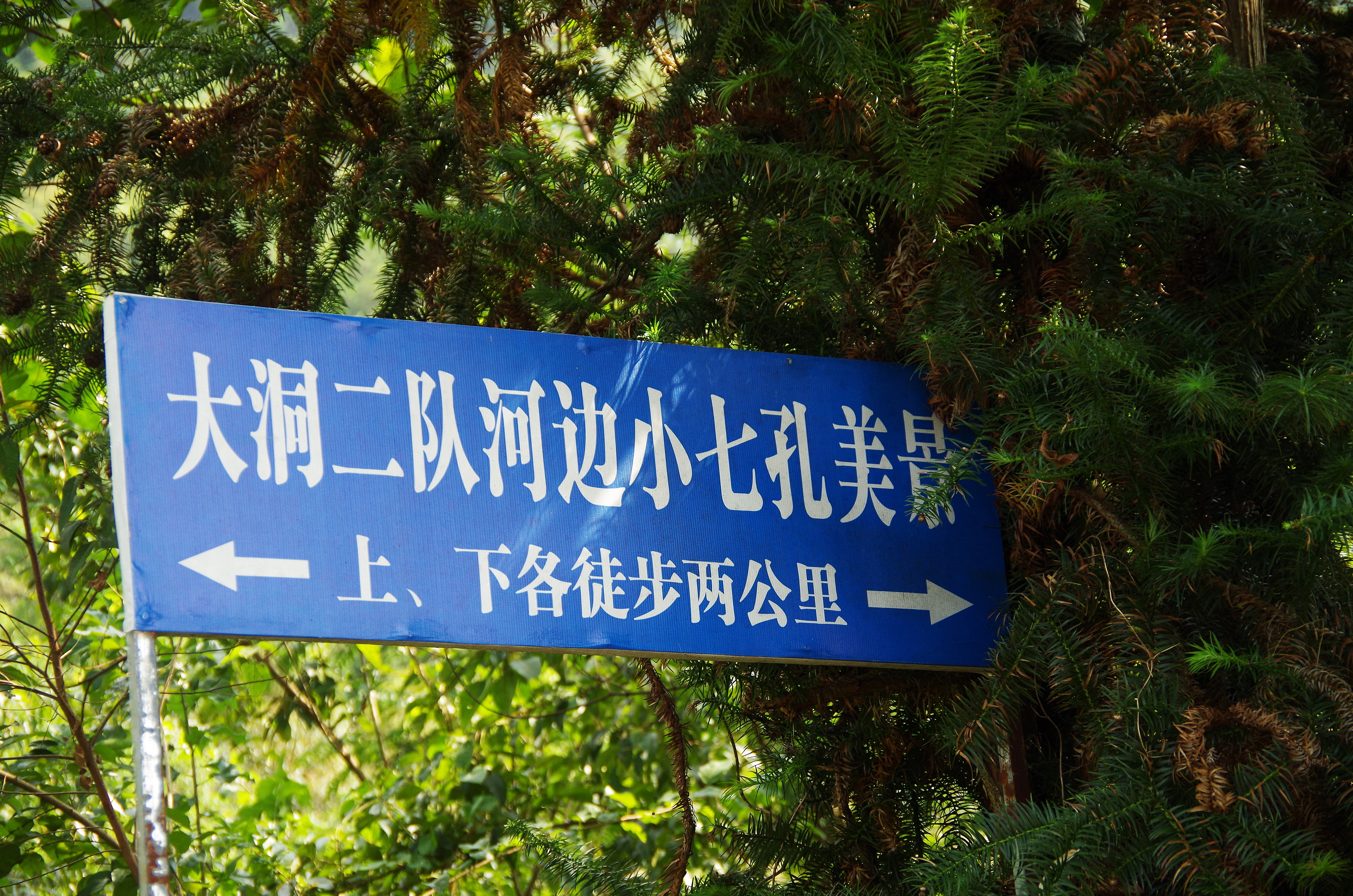 柳州鹿鸣山小七孔,柳州自驾小七孔旅游攻略