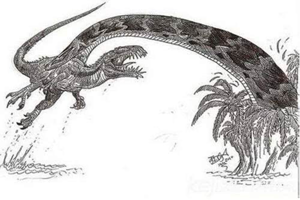 远古最可怕的三大巨蛇鱼,史前十大凶残巨兽蛇