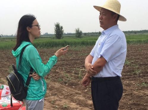 大树下面长草吗,大树底下长草