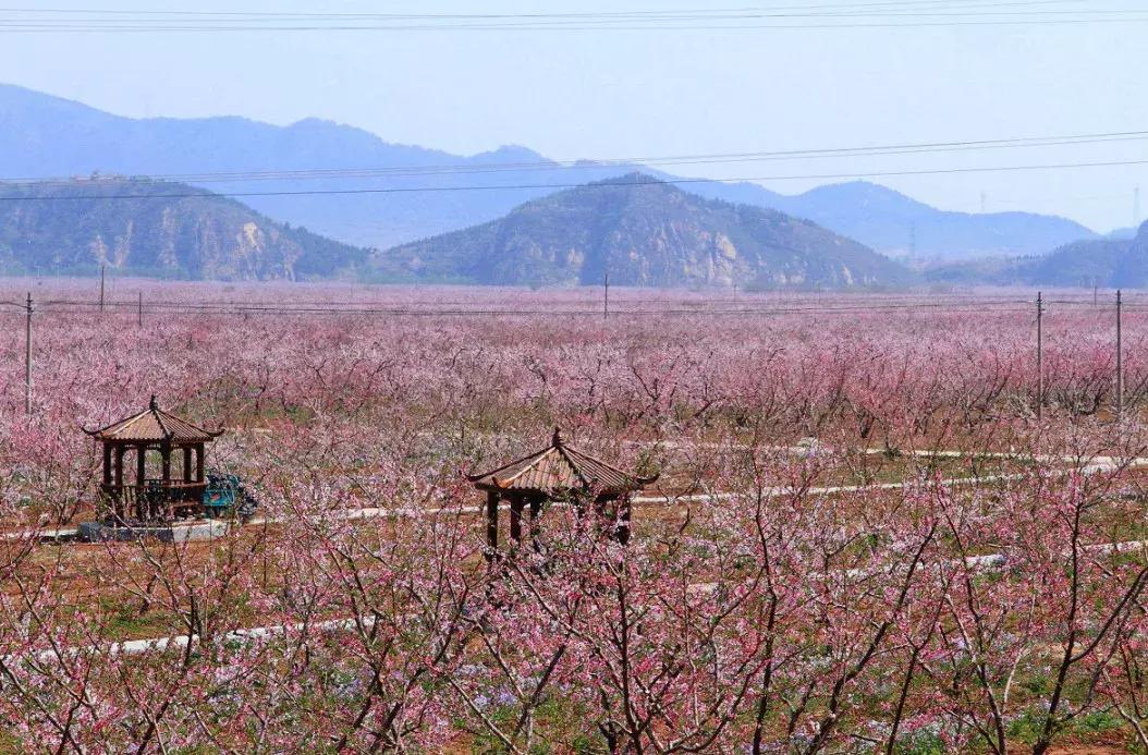 清明去哪儿玩|盘点那些值得打卡的北京周边小众景点！