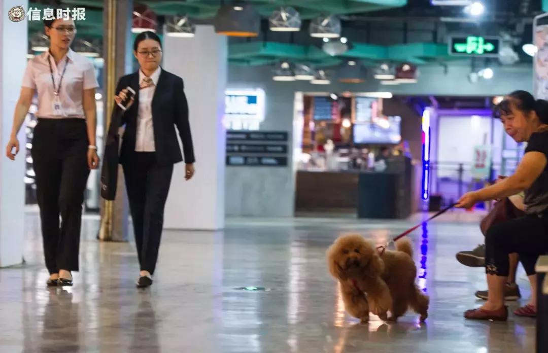 广州2017年地王广场,难说再见广东