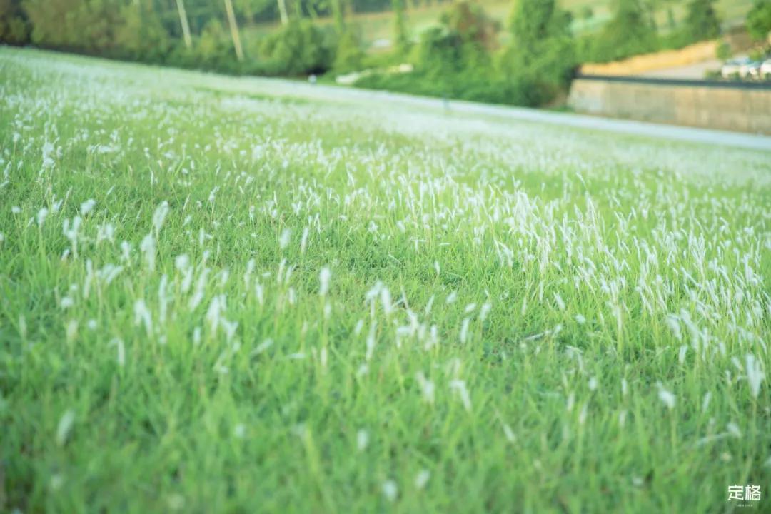 深圳梅林水库有山溪吗,深圳梅林水库在哪个区