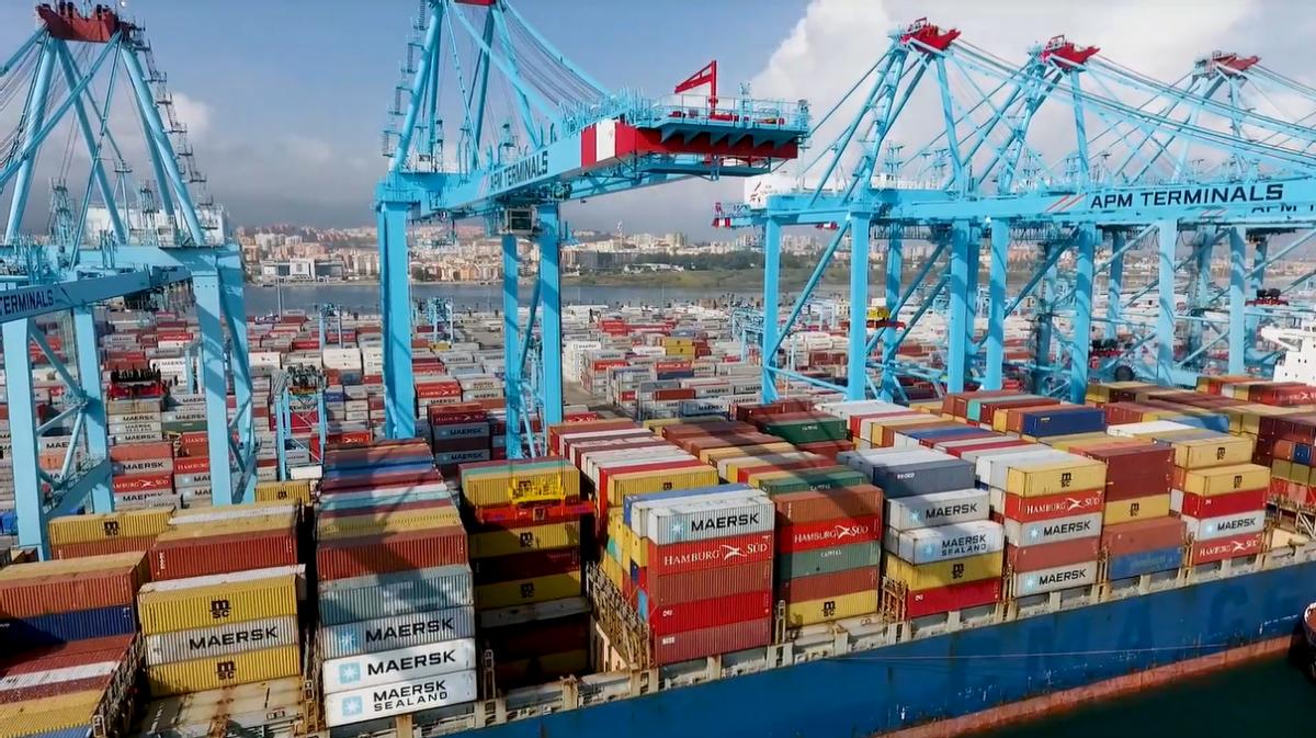 中美航线集装箱运价暴涨原因 (海运集装箱运输北美航线)