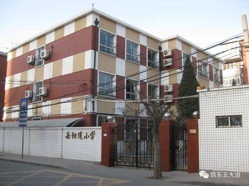 岳阳道小学天津,岳阳道小学奥运冠军