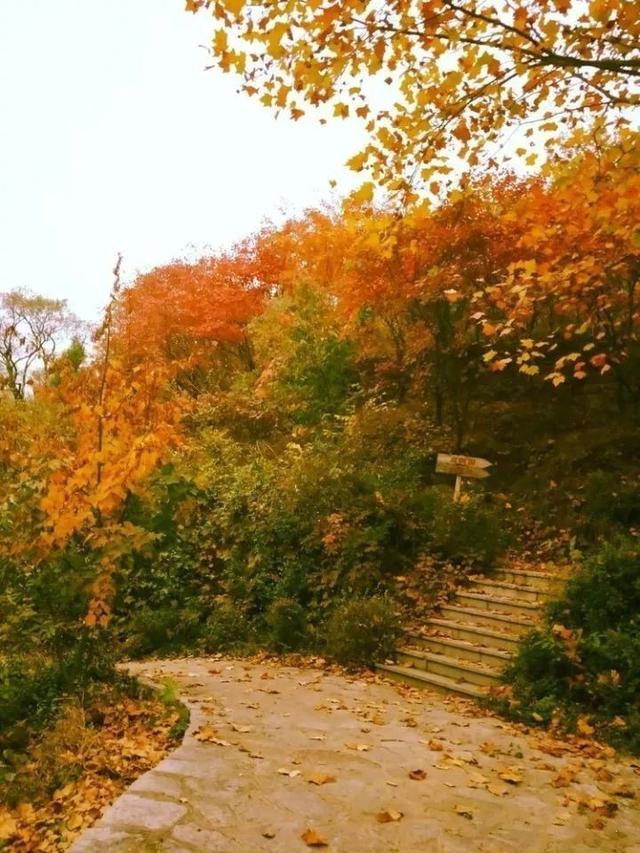 济南旅游景点推荐带孩子玩,济南旅游景点推荐适合带孩子