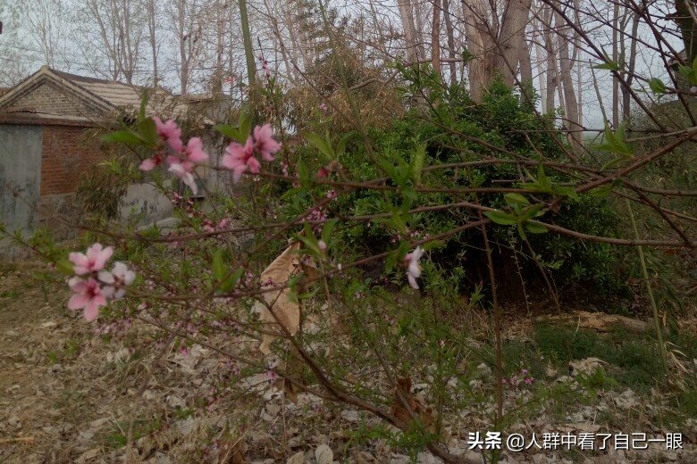 裆部事件——2008.12.16