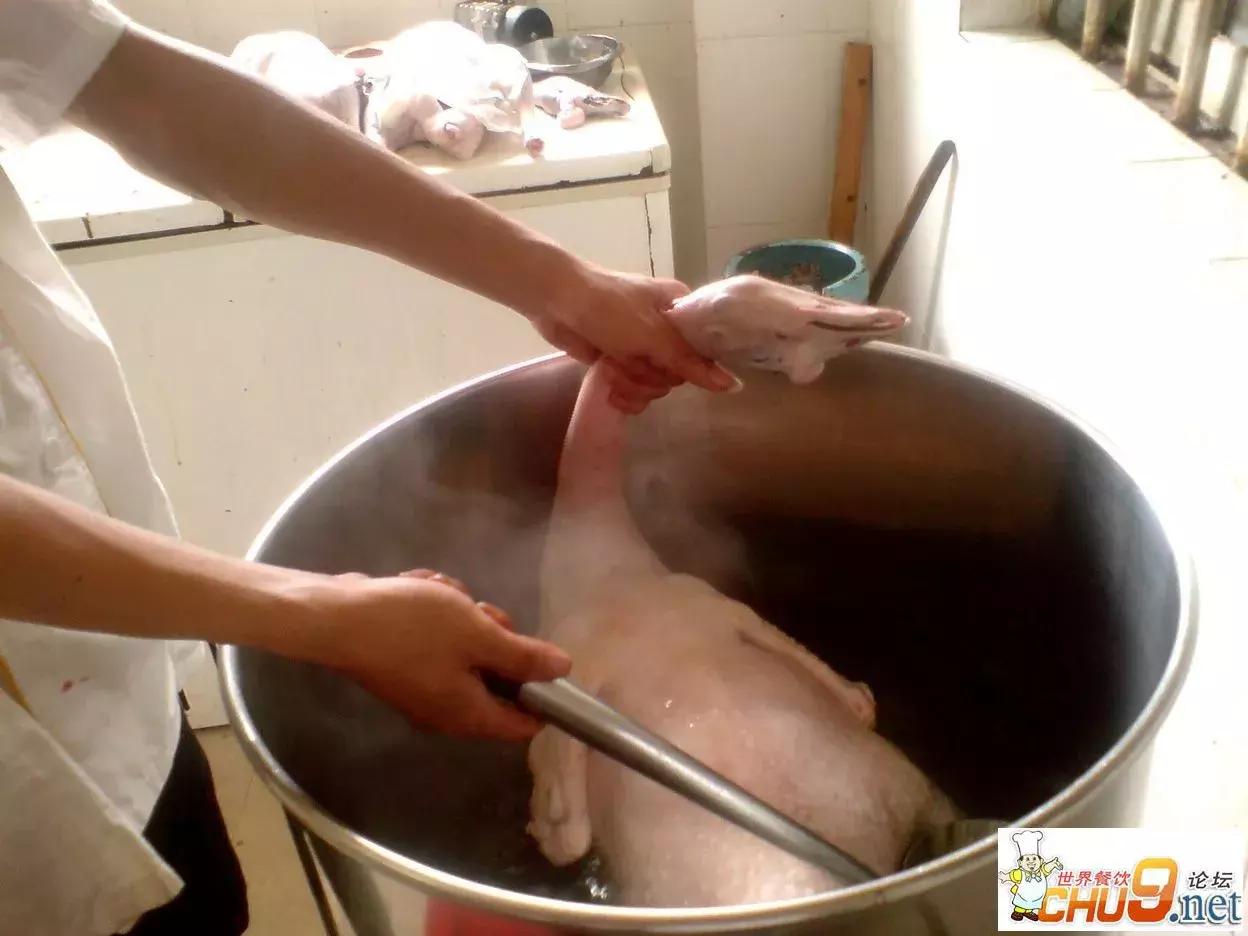 瓦缸烧鹅的做法,正宗瓦缸烧鹅视频