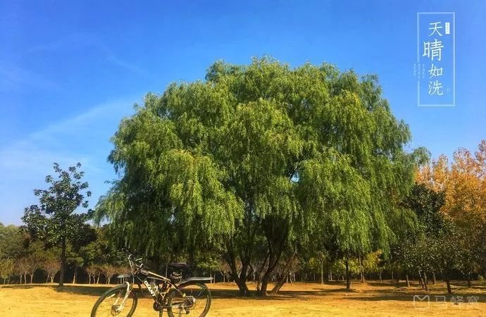 南京免费的公园,太全了