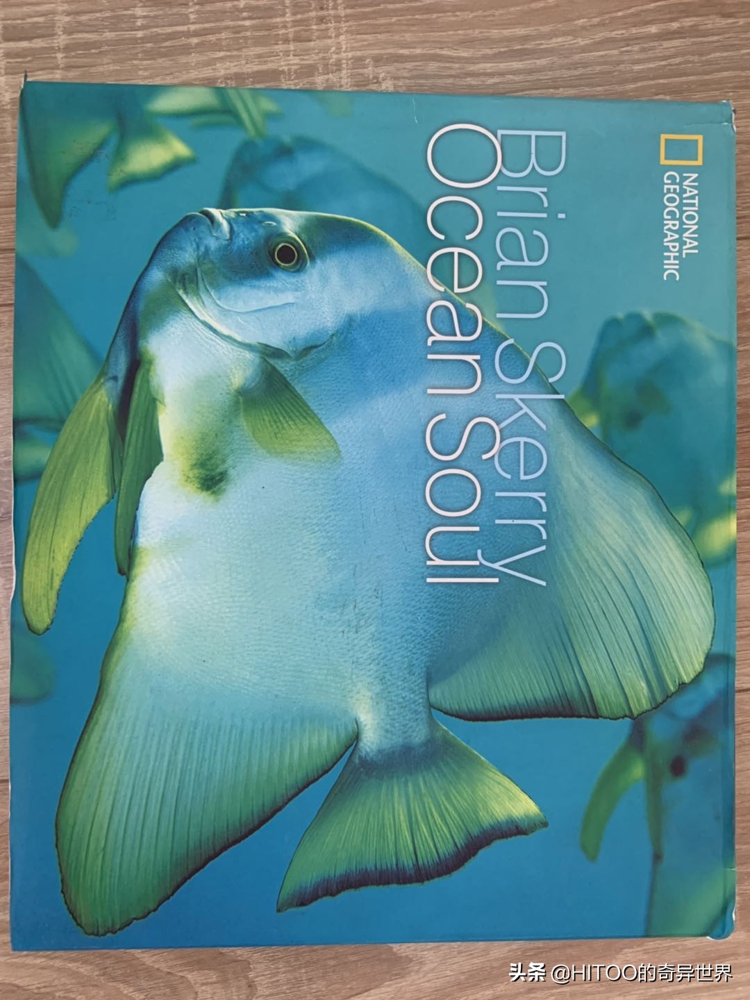 在菲律宾可以买些什么,在菲律宾买手机为何便宜那么多