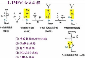 怎样知道痛风尿酸偏高,怎样知道有痛风结晶