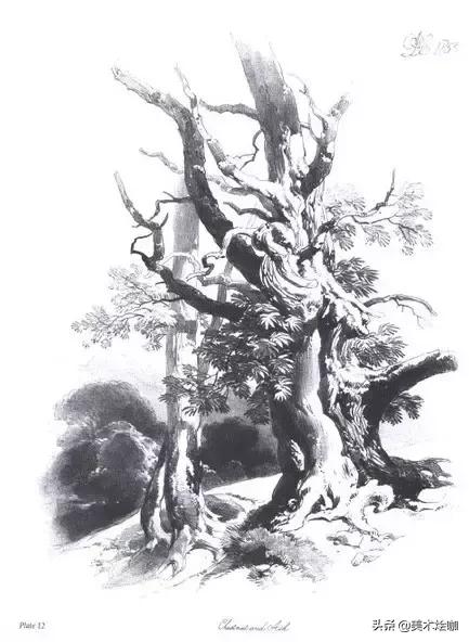 高清素描临摹风景图入门,素描画画教程7-12岁风景图