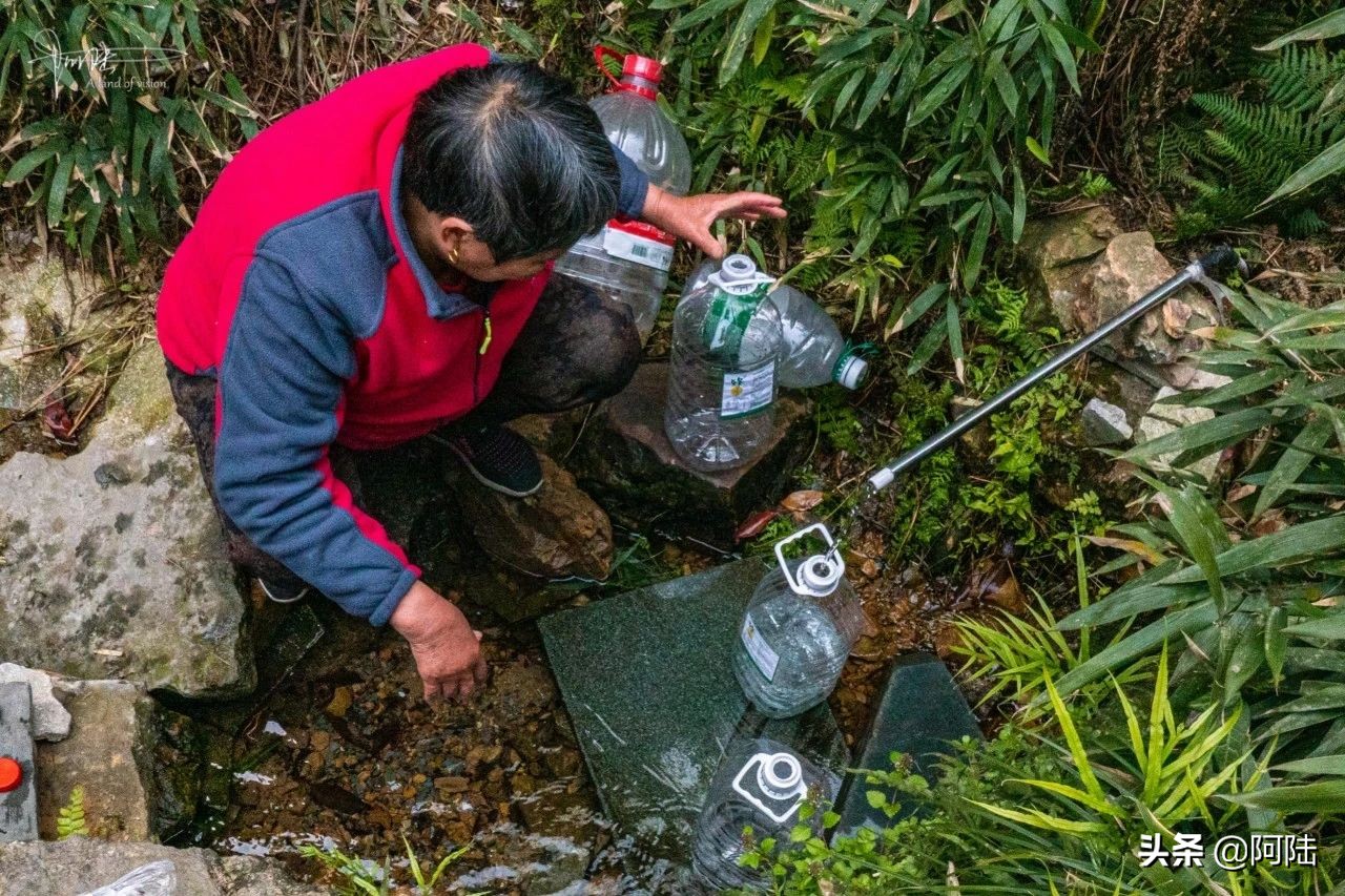 杭州虎跑泉水,杭州虎跑泉旅游攻略