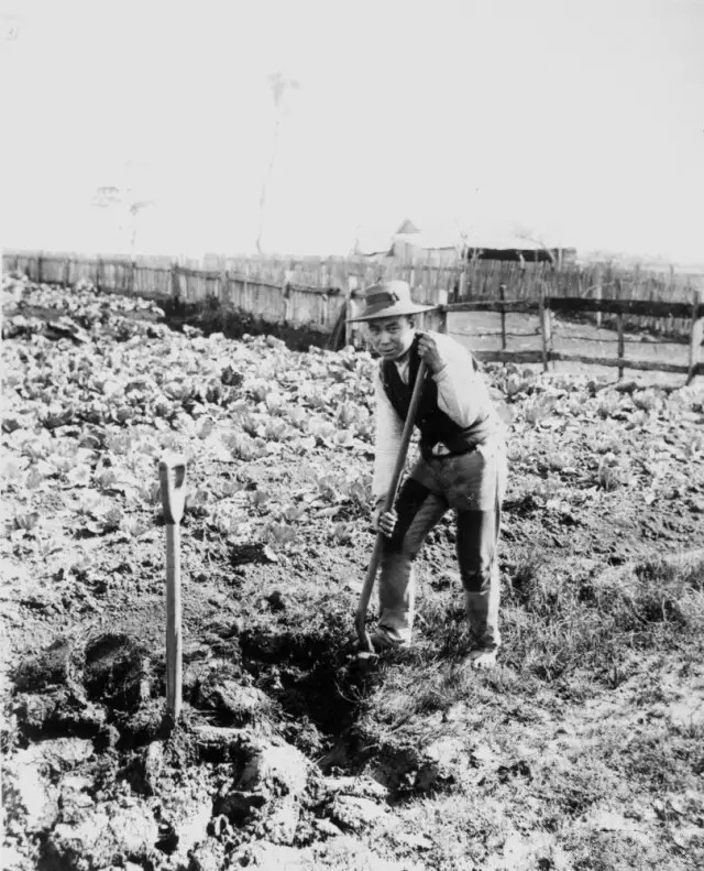 大洋彼岸的淘金梦：19世纪中叶，新西兰华人矿工的黄金梦始末