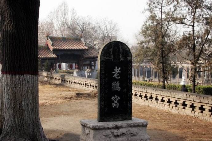 山西老鹳窝大槐树移民,大槐树上的老鹳窝