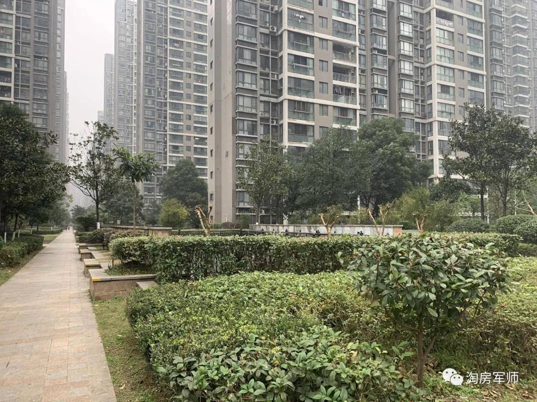 踩盘五矿壹云台,踩盘保利滨江和著