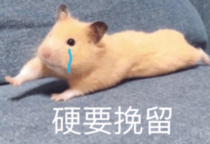 几十万豪华别墅,十几亿的顶级豪宅