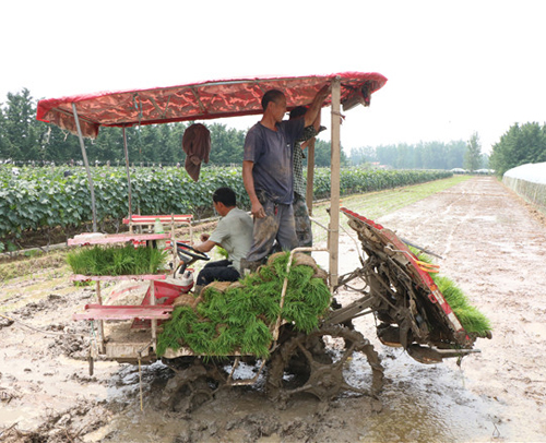 乡镇现在最赚钱的门路,最适合农民的创业门路是什么