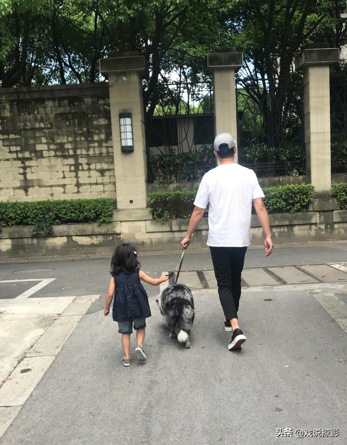 文章马伊琍谈过情感,文章对马伊琍的感情观