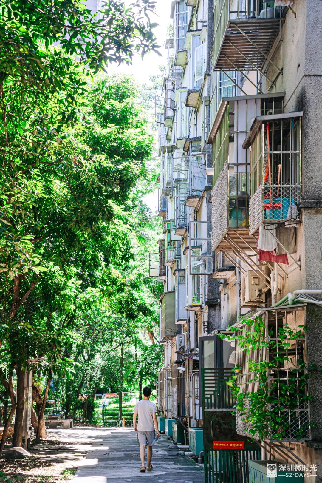 华侨城一期西区,华侨城发展历程